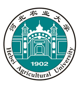 南开河北农业大学